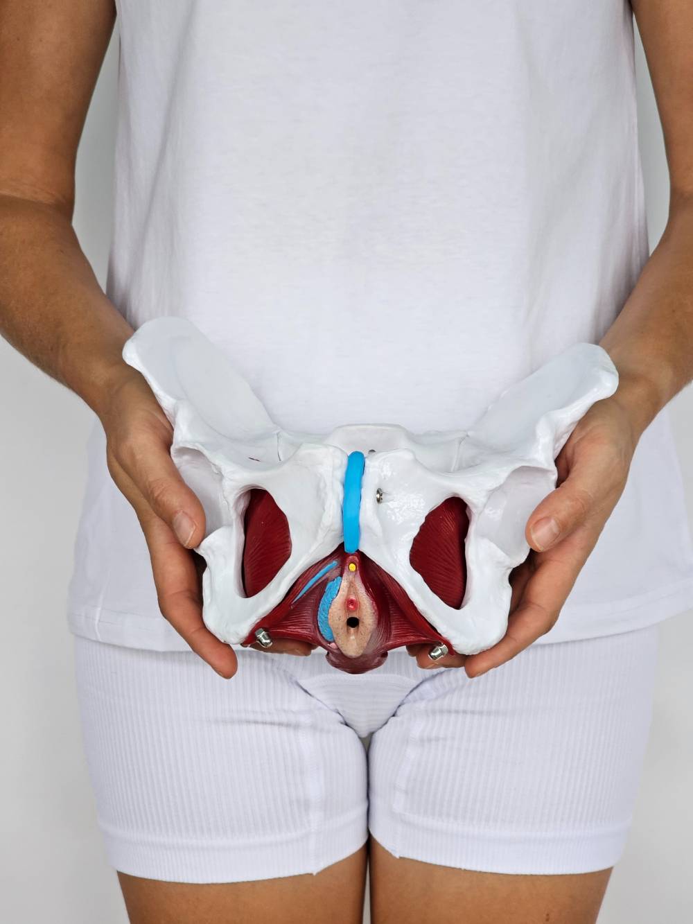 pelvic floor treatment
